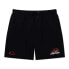 ELLESSE Sori Swimming Shorts