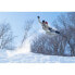 Фото #11 товара Крепление для сноуборда NOW Fridge женское