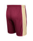 Фото #3 товара Men's Garnet Boston College Eagles Panel Shorts