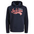 JACK & JONES Logo 2 Col 23/24 hoodie