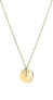 Charming gold-plated necklace TJ-0020-N-45 (chain, pendants)