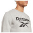 REEBOK Ri Flc Big Logo Crew sweatshirt