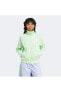 Originals Firebird Tt Kadın Yeşil Ceket