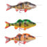 Фото #1 товара SAVAGE GEAR 4D Line Thru Perch Soft Lure 63g 170 mm