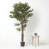 Фото #4 товара Kunstbaum Ficus Benjamini grün 180 cm