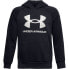 Фото #1 товара UNDER ARMOUR Rival Big Logo hoodie