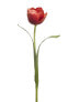 Фото #1 товара Tulpe Emily