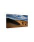 Wael Onsy The Sand Gazelle Canvas Art - 20" x 25"