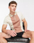 Фото #1 товара ASOS DESIGN polo t-shirt in brown colour block with retro collar & zip