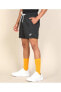 Фото #1 товара Sportswear Sport Essentials Woven Lined Siyah Erkek Şort