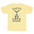 SALTY CREW Tailed short sleeve T-shirt