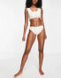 Daisy Street bikini bottoms with scallop edge in shell print