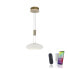 LED Pendellampe Q ETIENNE Smart Home