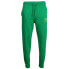 Фото #1 товара Diadora Manifesto Pants Mens Green Casual Athletic Bottoms 178203-70459