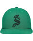 ფოტო #3 პროდუქტის Men's Green Santos Laguna Palette Snapback Hat