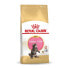 Фото #2 товара ROYAL CANIN Maine Coon Kitten 10kg Cat Food