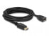 Фото #1 товара Delock 80004 - 5 m - DisplayPort - DisplayPort - Male - Female - Black
