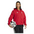 Фото #5 товара ADIDAS FC Bayern Munich Anthem 24/25 hoodie