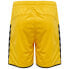 Фото #3 товара HUMMEL Authentic Shorts