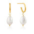 ფოტო #1 პროდუქტის ANIA HAIE E019-02G Earrings