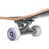 QUIKSILVER Flashback 8.25 Skateboard