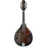 Фото #1 товара Ibanez M510E-DVS Dark Violin Sunburst High Gloss