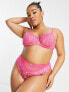 Фото #3 товара Ivory Rose Curve bold floral lace balconette bra in hot pink