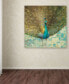 Danhui Nai 'Teal Peacock on Gold' 35" x 35" Canvas Wall Art