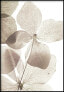 Фото #1 товара Transparente Blumenposter