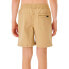 RIP CURL Epic Volley Shorts
