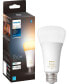 Фото #1 товара 100W A21 LED Smart Bulb - White Ambiance