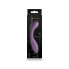 Vibrator NS Novelties Desire Purple