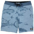 Фото #2 товара PELAGIC Deep Drop Gyotaku swimming shorts