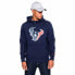 Фото #1 товара NEW ERA NFL Team Logo Houston Texans hoodie