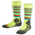 FALKE SK2 Stripe socks