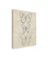 Фото #2 товара June Erica Vess Vintage Butterfly Sketch I Canvas Art - 20" x 25"