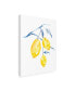 Фото #2 товара Jennifer Goldberger Watercolor Lemons I Canvas Art - 27" x 33.5"