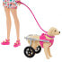 BARBIE Dog Walker With Wheelchair Doll