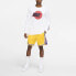 Фото #4 товара Брюки Nike NBA Icon Edition SW AJ5617-728