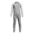 Фото #1 товара UNDER ARMOUR Rival Fleece tracksuit