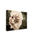 Фото #2 товара Rachel Perry Golden Era Peony I Canvas Art - 20" x 25"