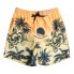 Фото #1 товара QUIKSILVER Everyday Paradise 14´´ Youth Swimming Shorts