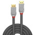 LINDY 1.2 DisplayPort Cable 5 m