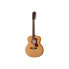 Фото #1 товара Guild F-2512E Maple Westerly B-Stock