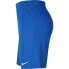 Фото #3 товара Nike Dry Park III NB M BV6855 463 shorts