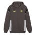 Фото #1 товара PUMA Borussia Dortmund Ftblarchive hoodie