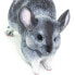 Фото #8 товара SAFARI LTD Chinchilla Figure