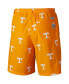 Фото #2 товара Men's Tennessee Orange Tennessee Volunteers Big and Tall Backcast Shorts