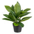Фото #1 товара Декоративное растение 50 x 45 x 48 cm Зеленый PVC