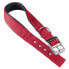 FERPLAST Nylon Daytona C 40 mm 63 cm Dog Collar